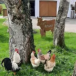 Am Schusterhof *