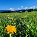 Apartament Am Schusterhof *