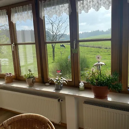 Am Schusterhof Apartment