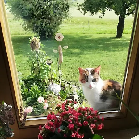 Am Schusterhof * Wonneberg