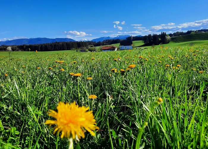 Appartement Am Schusterhof *