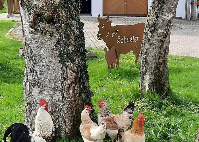 Am Schusterhof *